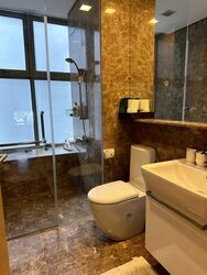 Residences @ Killiney (D9), Apartment #580728861
